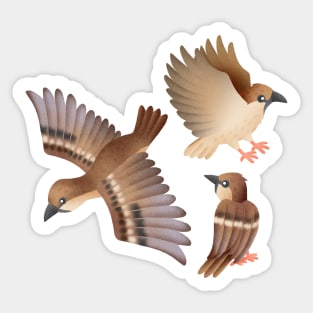 Sparrows Sticker